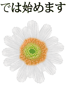 お花4