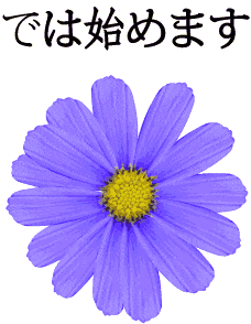 お花5