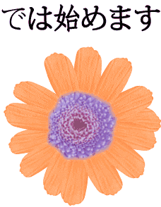 お花6