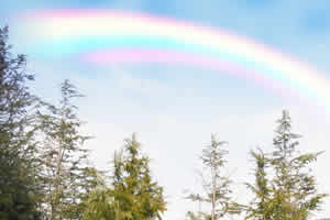 虹の夢はラッキーサイン