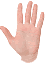 左手と手の形